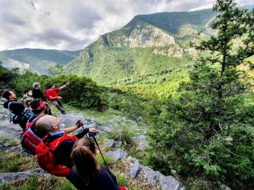 Xploretrails hiking nestos